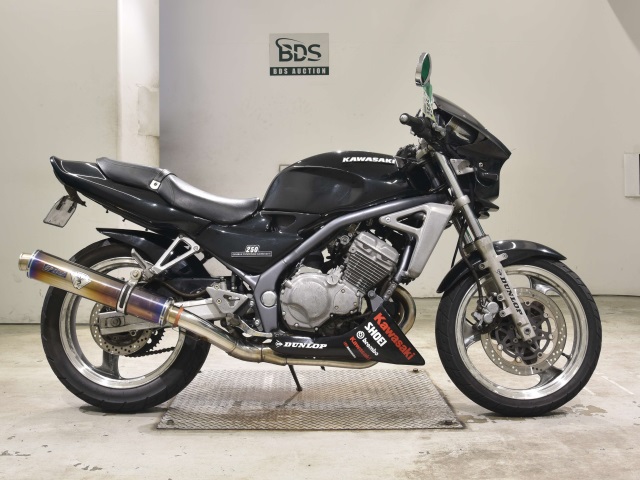 Kawasaki BALIUS ZR250