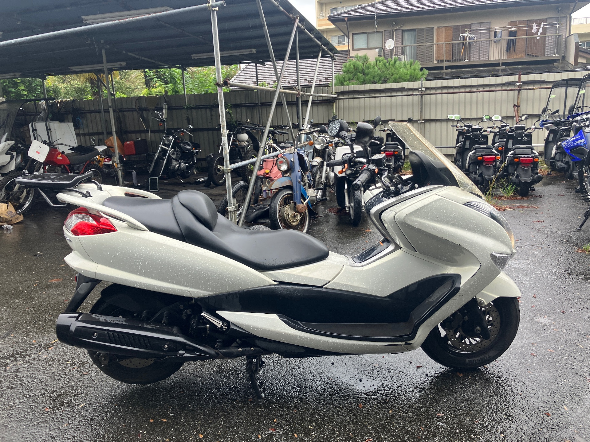 Yamaha MAJESTY250