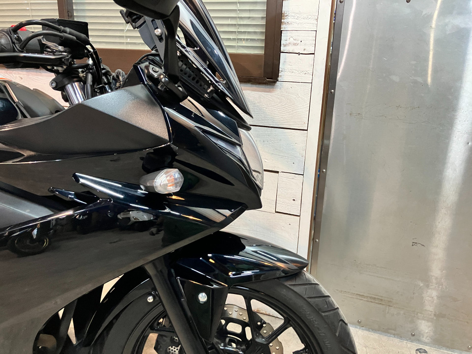 Suzuki GSX250R — фото 17