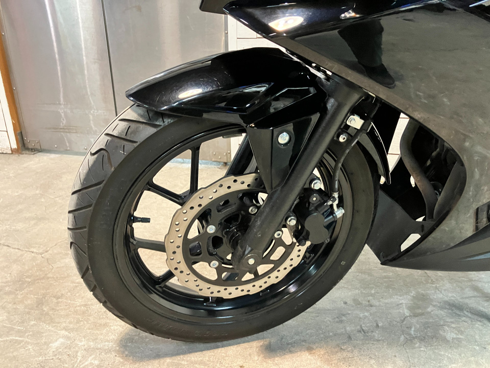 Suzuki GSX250R — фото 21