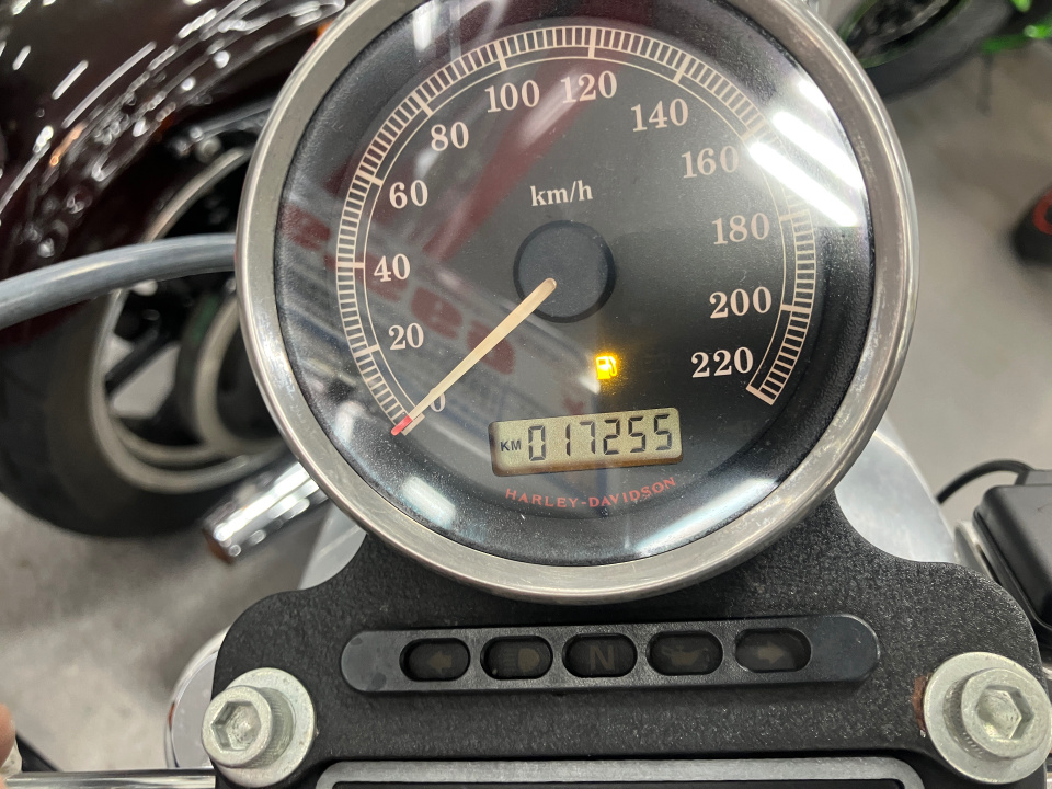 HD SPORTSTER XL883 — фото 3