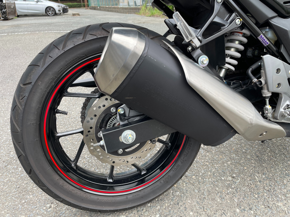 Suzuki GSX250R — фото 7