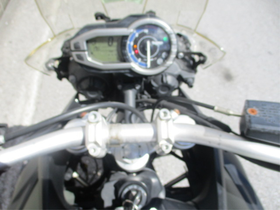 Triumph TAIGA 900 RALLY PRO — фото 3