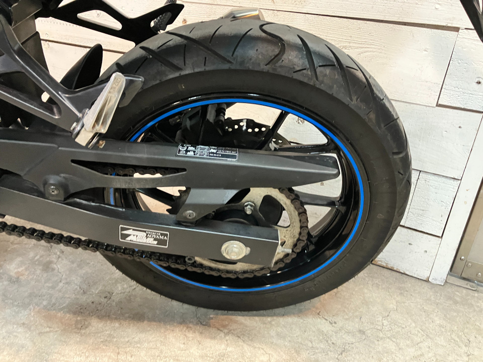 Suzuki GSX250R — фото 29