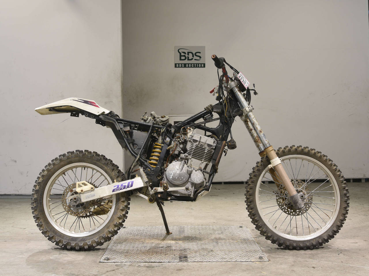 Suzuki DR250