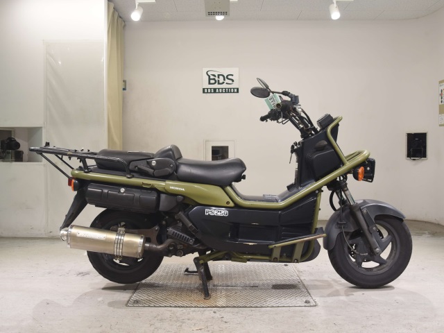 Honda PS250 BIG RUCKUS