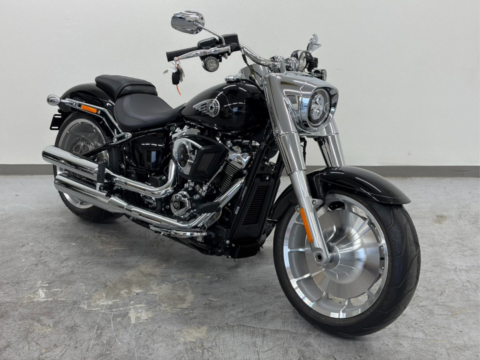 HD FATBOY FLFB1745