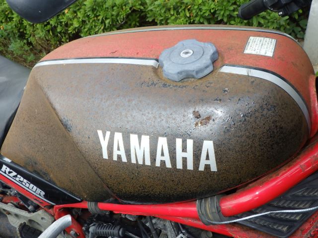 Внешний вид — фото 3