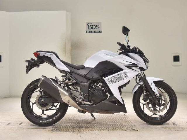 Kawasaki Z250