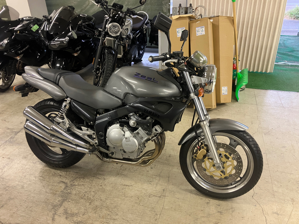 Yamaha ZEAL FZX250