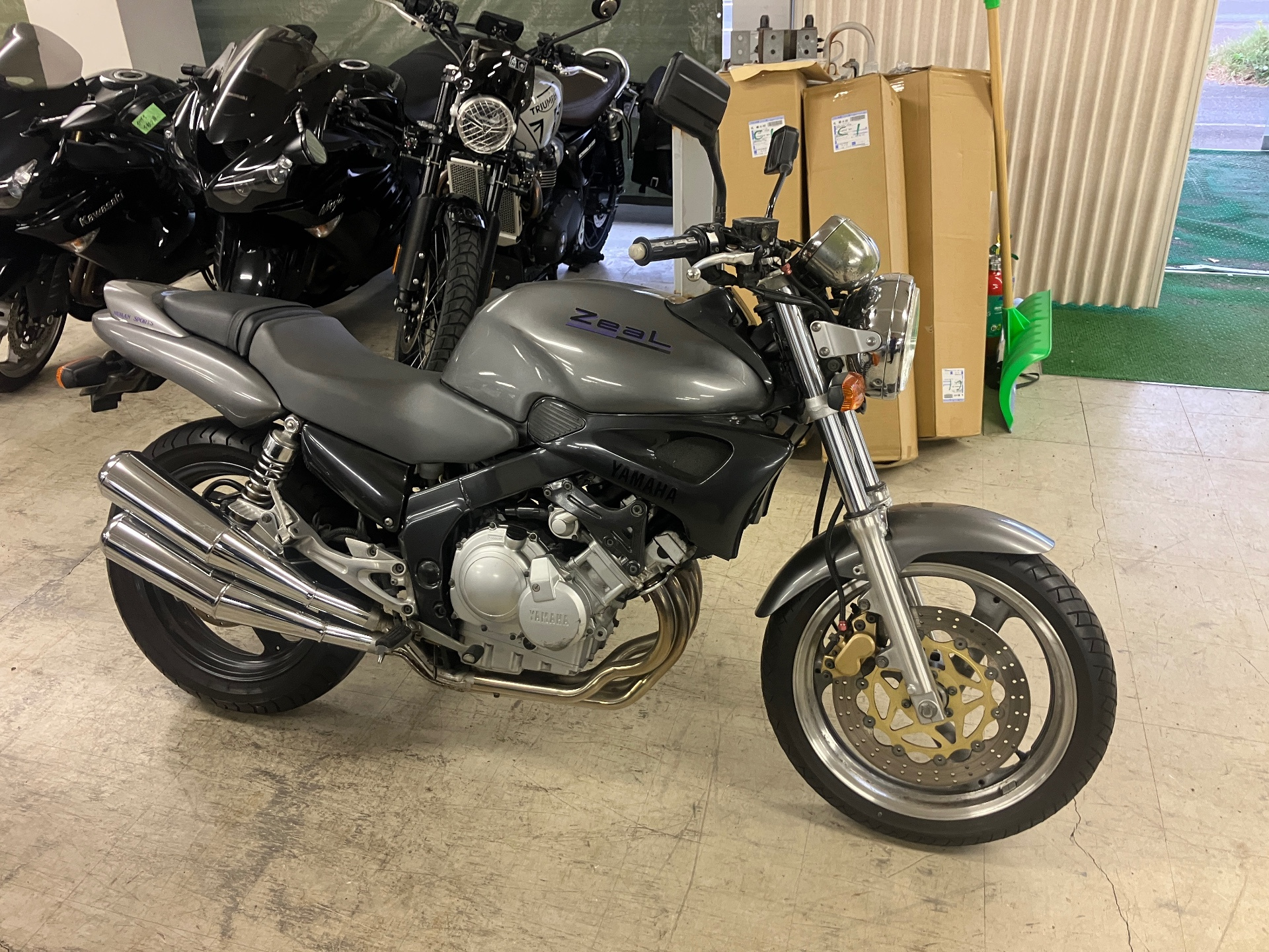 Yamaha ZEAL FZX250, zdjęcie 1