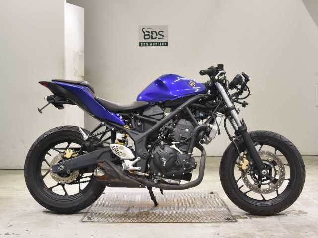 Yamaha YZF-R25