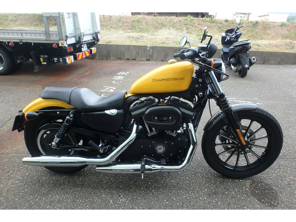 HD SPORTSTER IRON XL883N