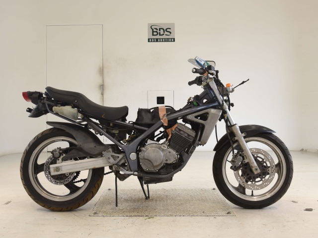 Kawasaki BALIUS ZR250